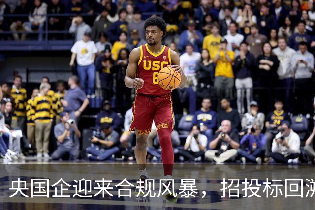 央国企迎来合规风暴，招投标回溯整治启动